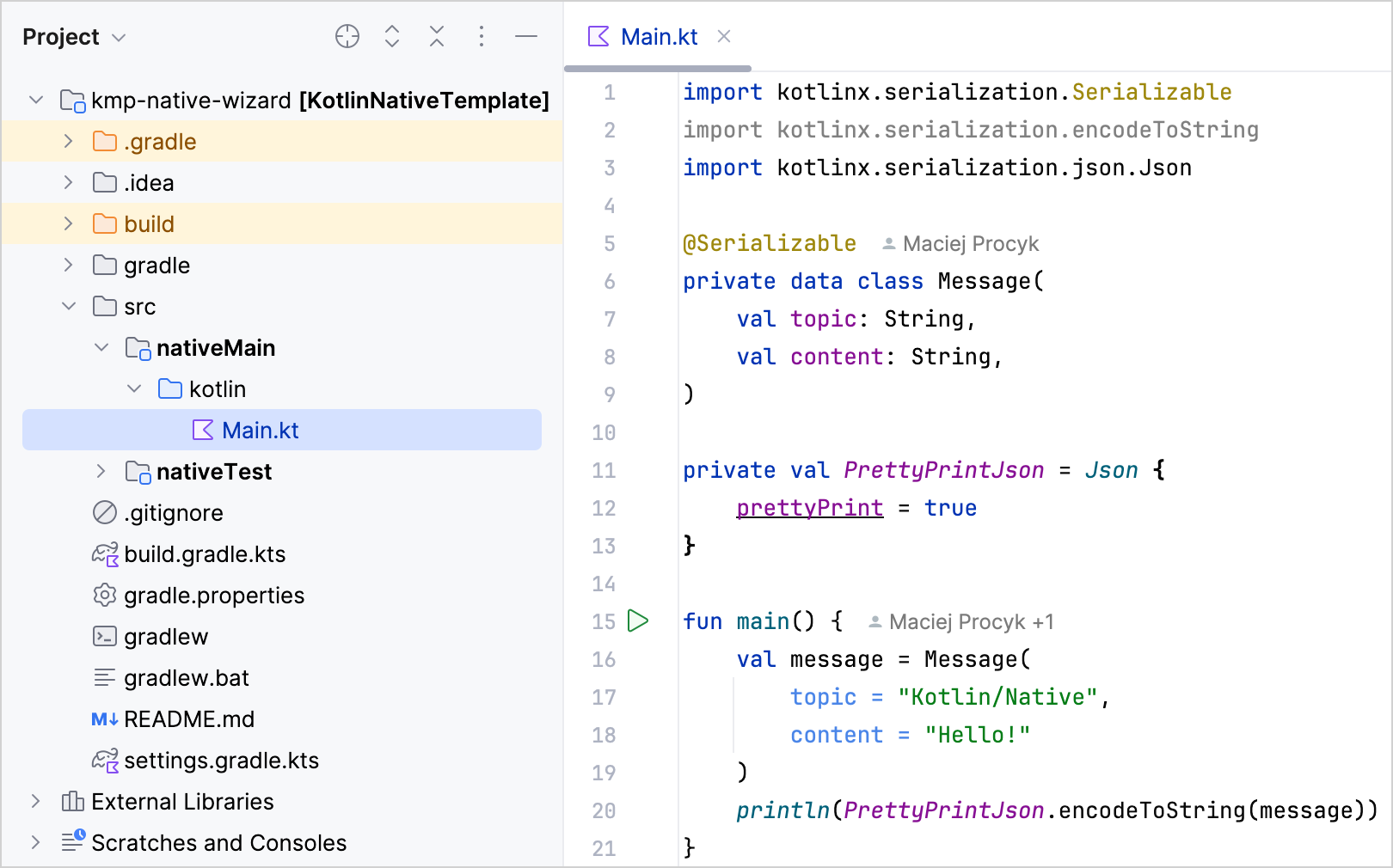 Native application project structure