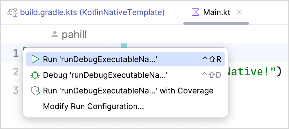 Run the application Run the application
