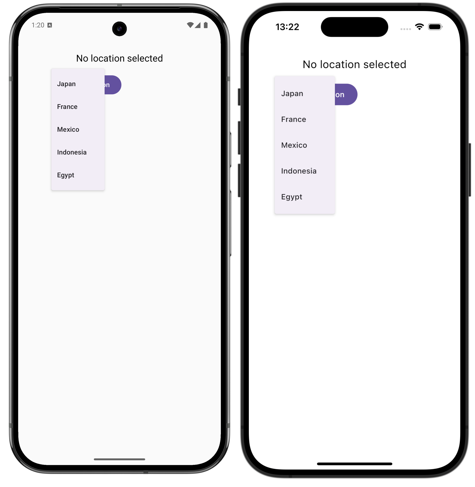 The country list in the Compose Multiplatform app on Android and iOS