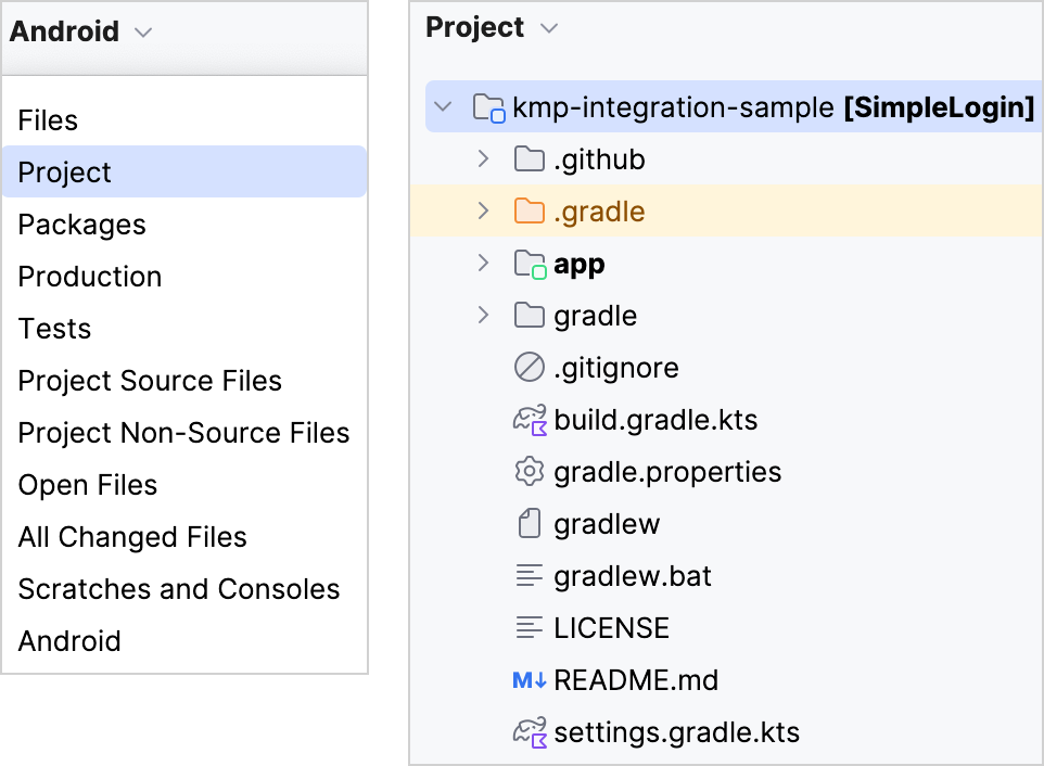 Project view Project view